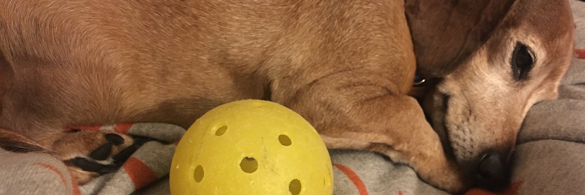 creswicky10's profile banner image