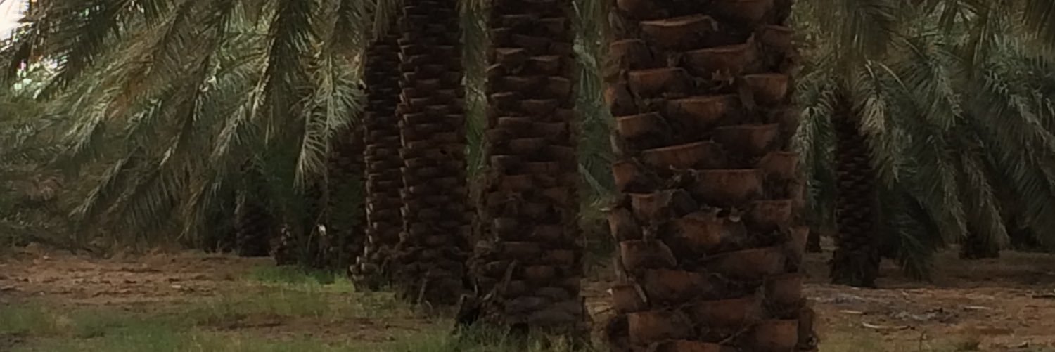 abdoool28's profile banner image