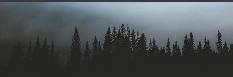 jennuhxox's profile banner image