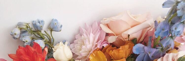 Wildflowers914's profile banner image