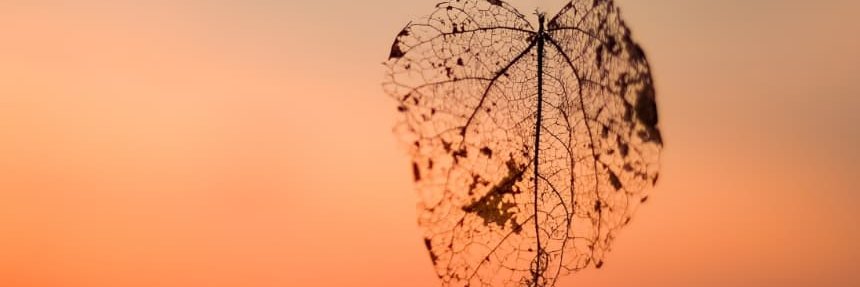 erikaf22's profile banner image