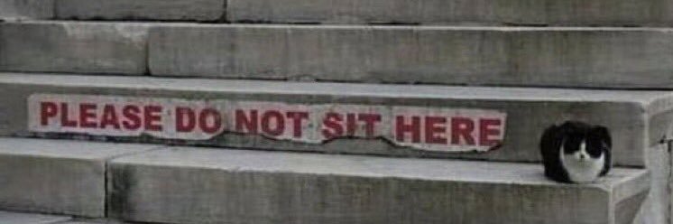 steffi nicole banner