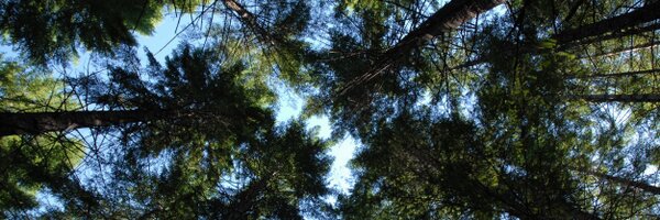 robfergus Profile Banner