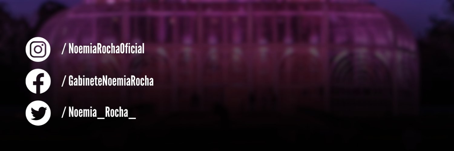 noemia_rocha_'s profile banner image