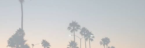 GtheVenom's profile banner image