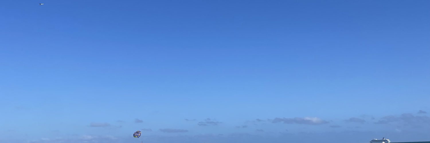 deadlysorion's profile banner image