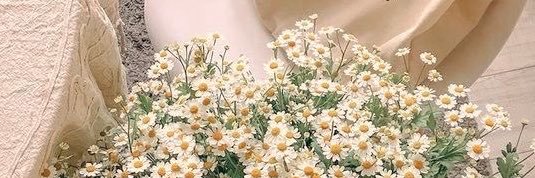 cnnn__14's profile banner image