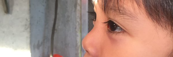 rafolits Profile Banner