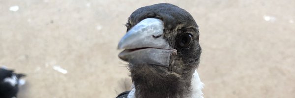 AlexBuker95 Profile Banner