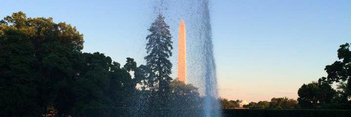 Emily Todebush Arwa banner