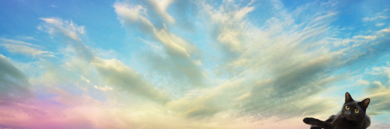 Sambrano_con_S's profile banner image