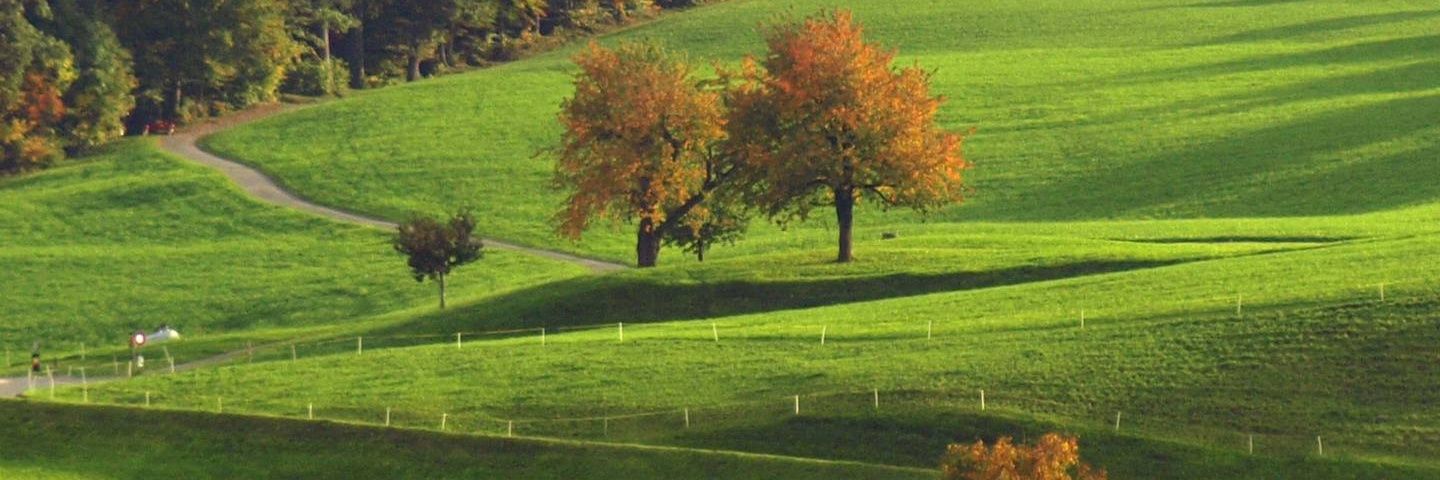 edgbarillas's profile banner image