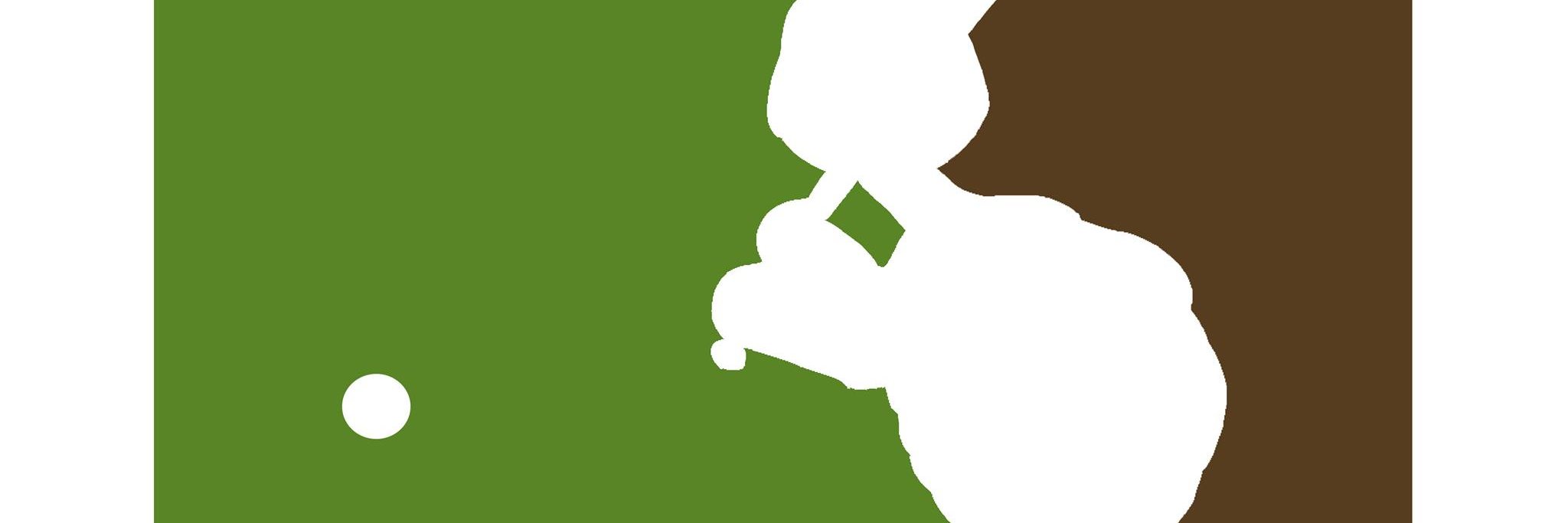 Do it for Baseball banner