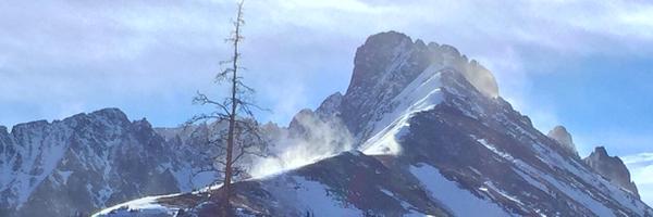 FreshAirFoCo Profile Banner