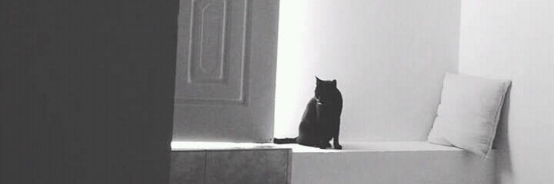 ツCeCe Profe Krabappel banner