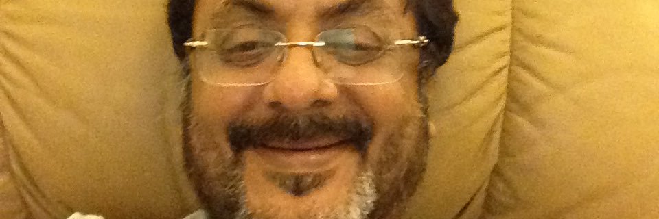 Pratap Pothen banner