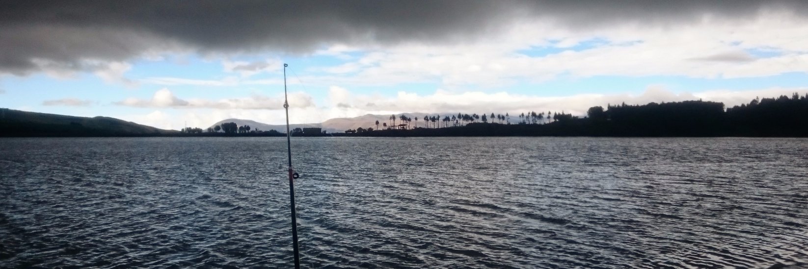 Esteban Torres banner