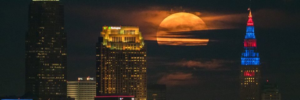 wallnuts1's profile banner image