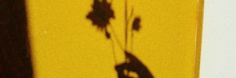vkvivin's profile banner image