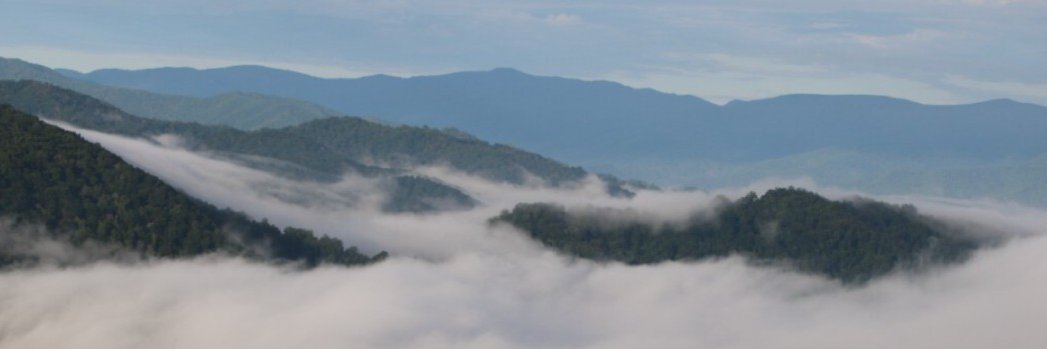 Jeffrey Howard | jeffrey-howard.bsky.social banner