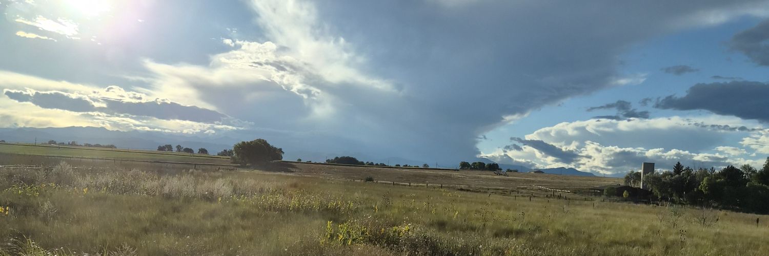 Stormwood211's profile banner image