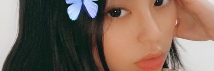 davinadennis's profile banner image