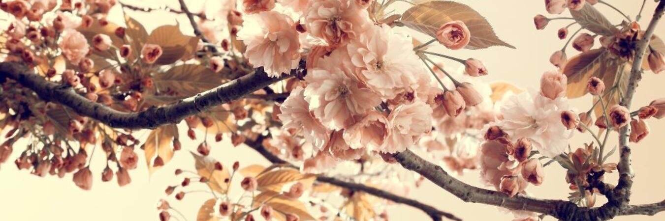A_Sldn's profile banner image