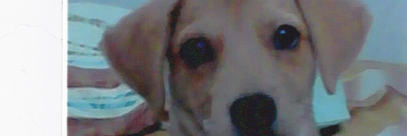 Monjedelpecado's profile banner image