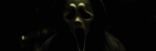adisloomis's profile banner image