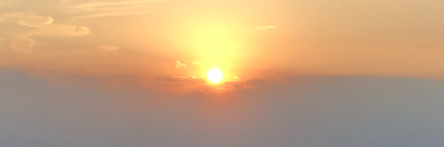 pikumin00000003's profile banner image