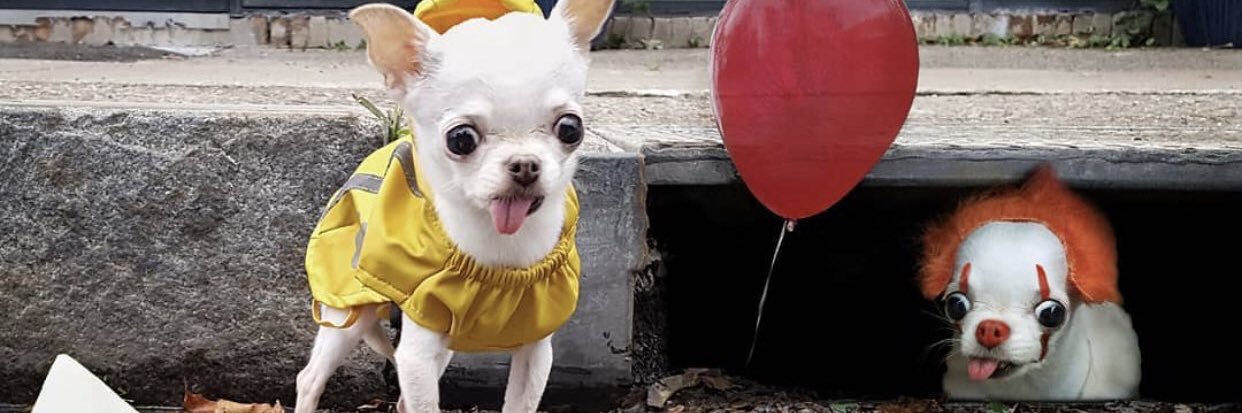 Lil_Benji46's profile banner image