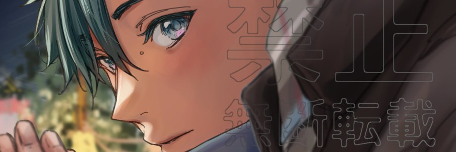 FlyHeine's profile banner image