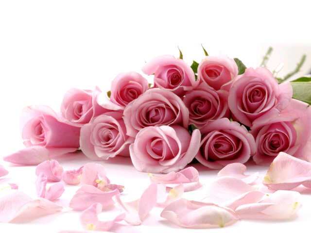 Verades's profile banner image