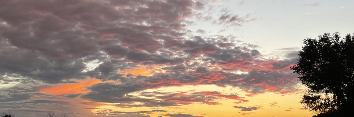 Lynn_manda5's profile banner image