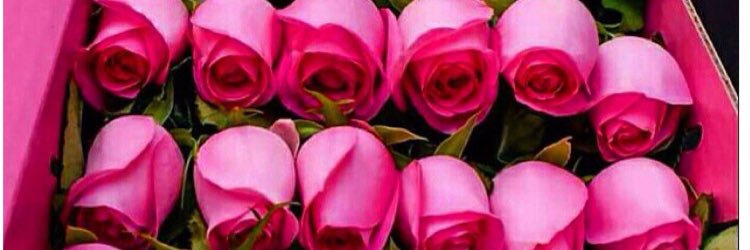 form_b4's profile banner image