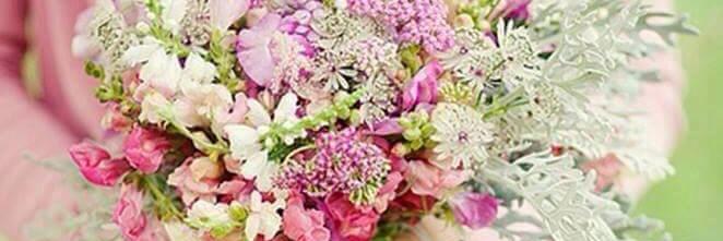 Merve banner