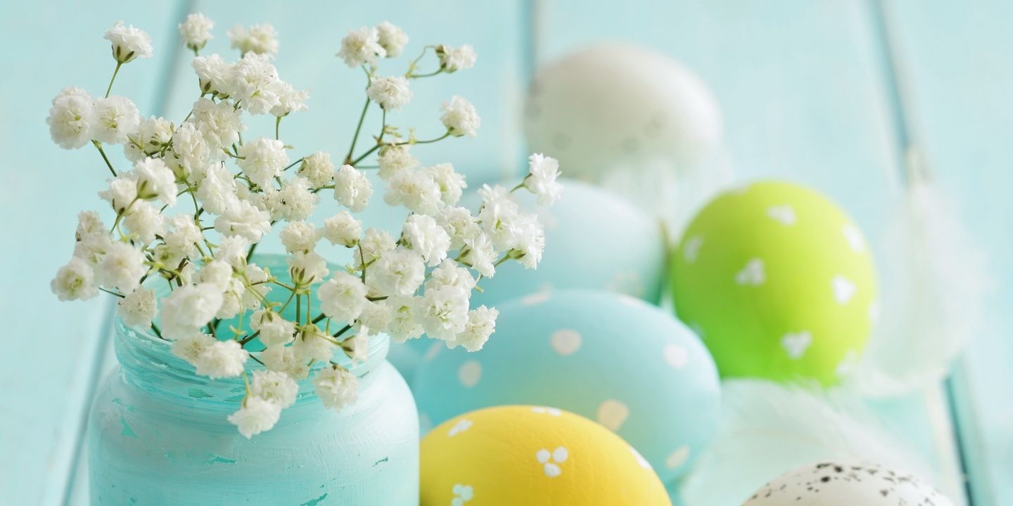 kianikash's profile banner image