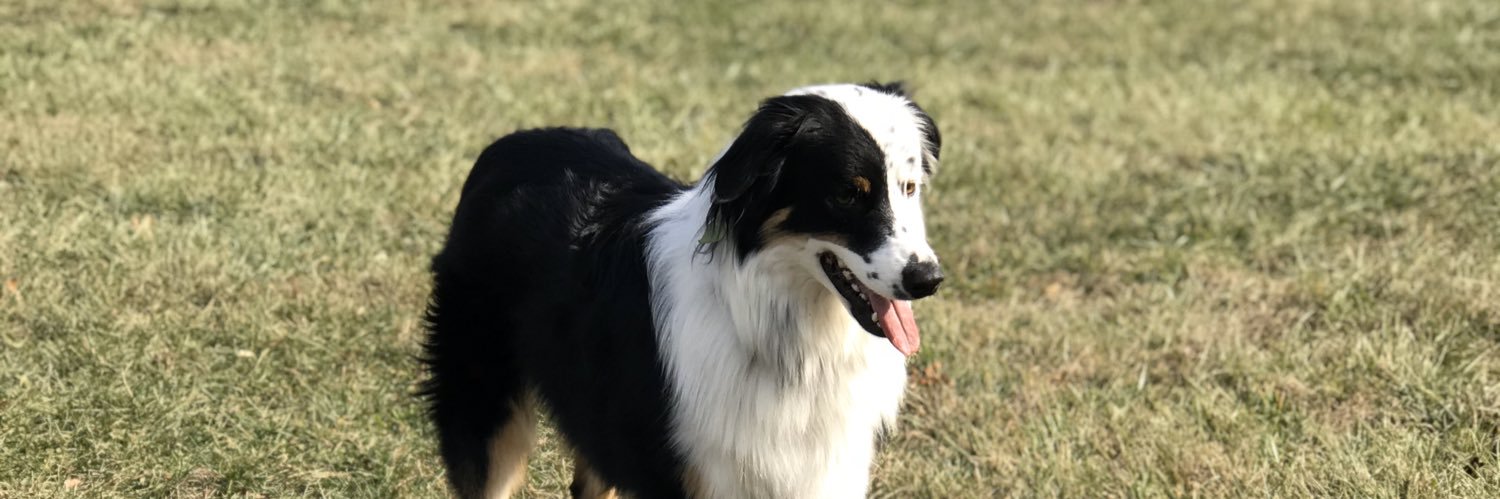 hunterchandler2's profile banner image