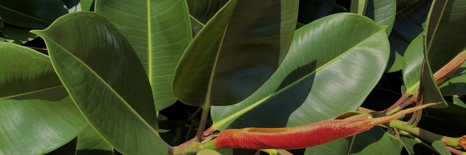 Mergary's profile banner image
