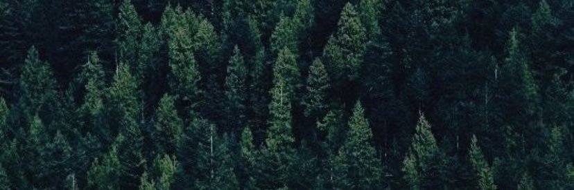 thisisntcrista's profile banner image