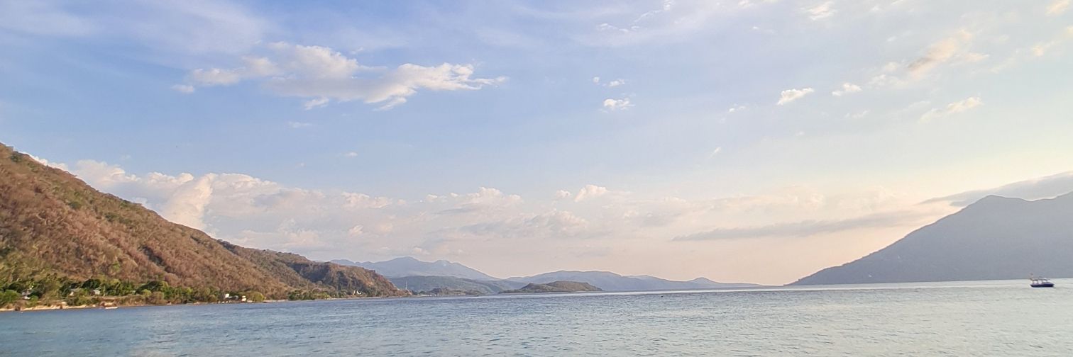 OngPanda13's profile banner image