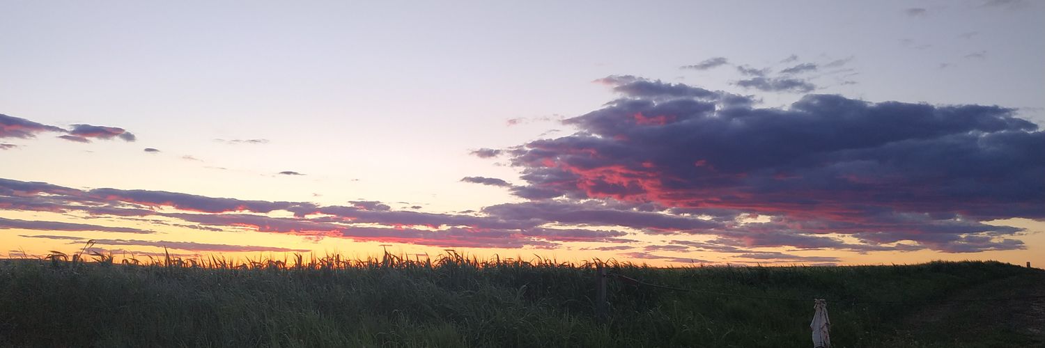 EliaMoreeno's profile banner image