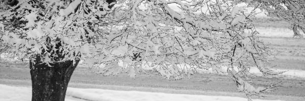 rodraglin Profile Banner