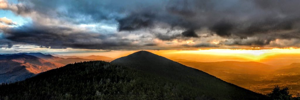 adk_runner's profile banner image
