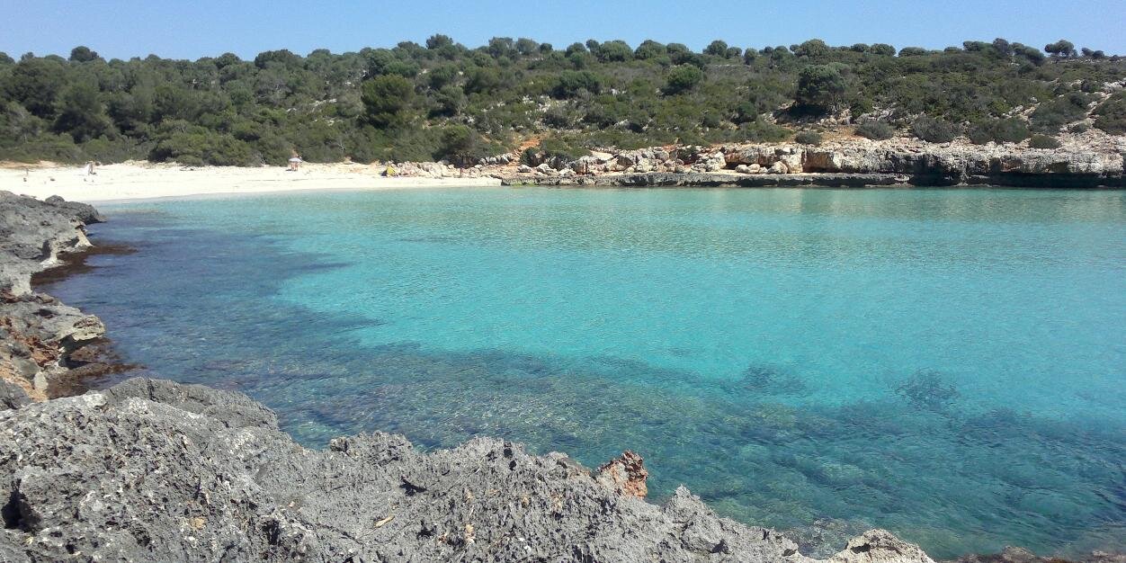santitorrens's profile banner image