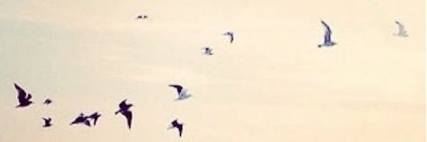 Mrmze5's profile banner image
