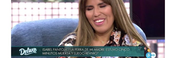 mitad tonta mitad tetas banner