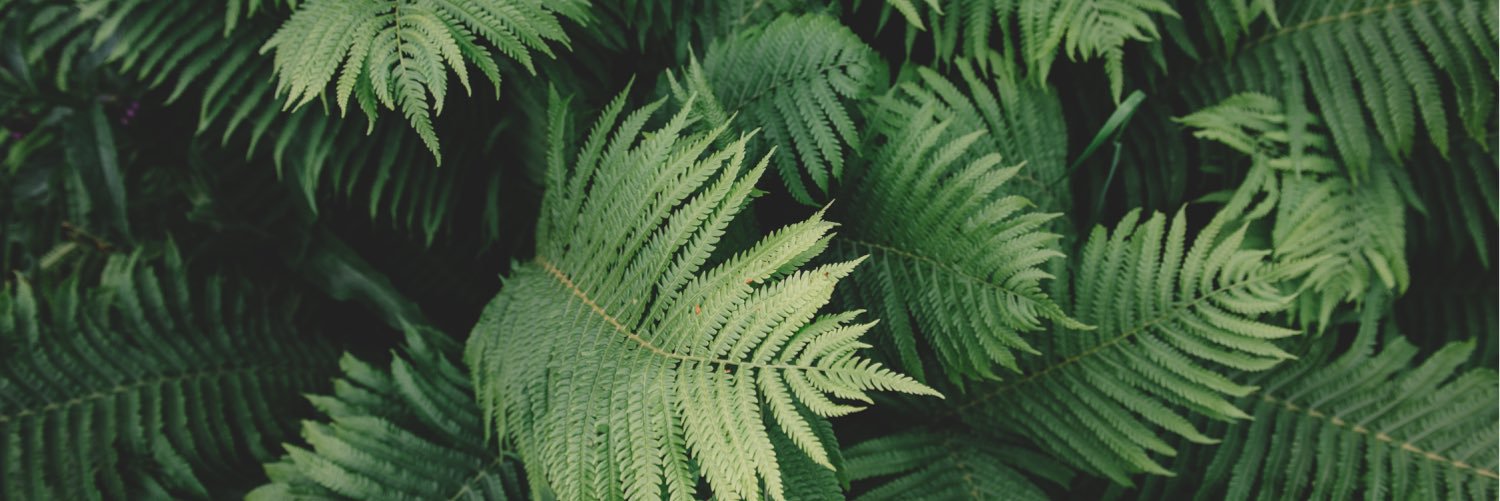 EmmaCullen13's profile banner image