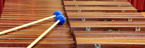 MikeGeest Profile Banner