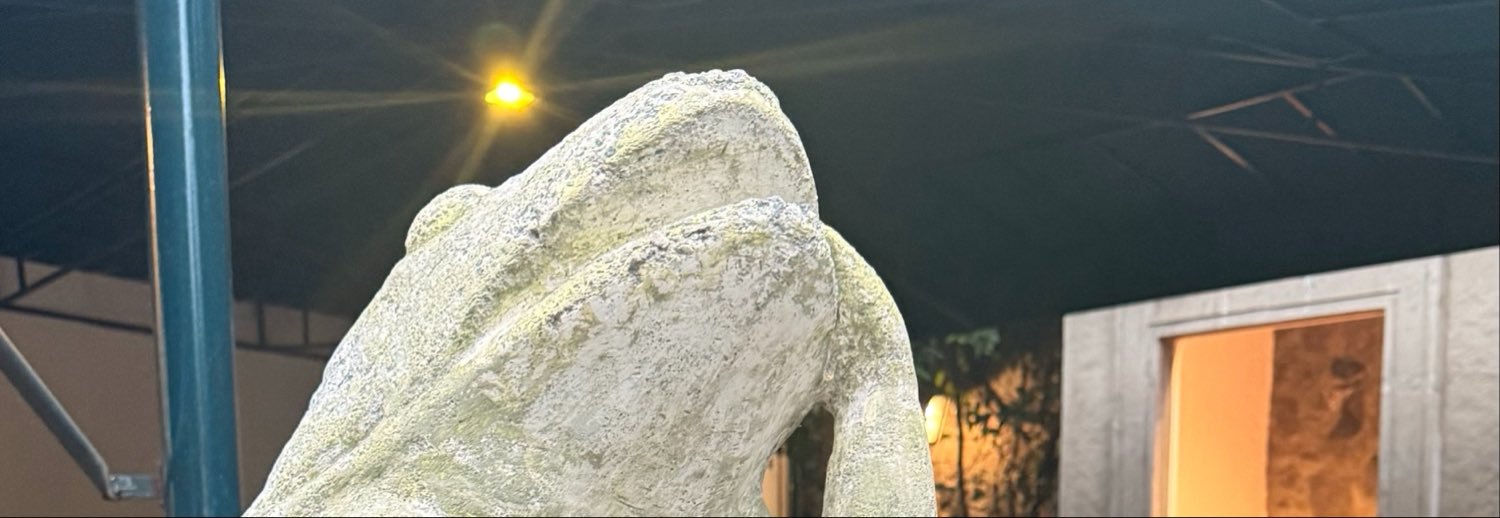 Alexmartinez4's profile banner image